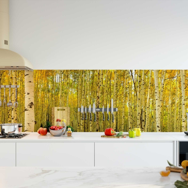 Küchenrückwand Folie Birkenwald Bild 2