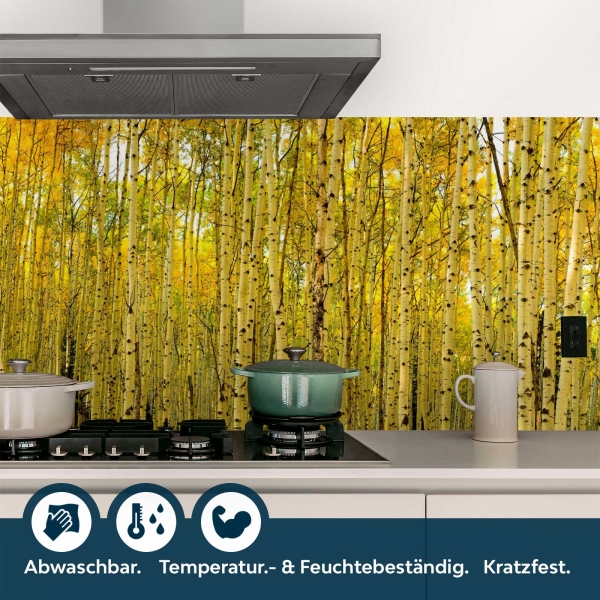 Küchenrückwand Folie Birkenwald Bild 4