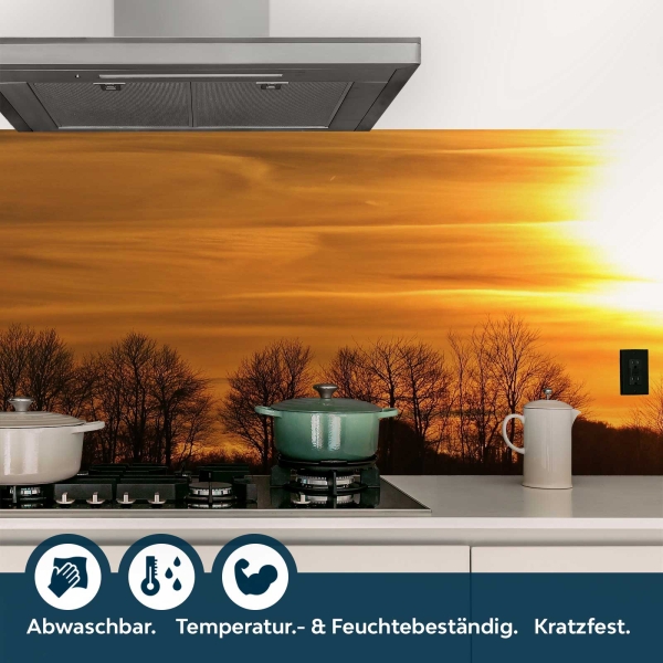 Küchenrückwand Folie Wald Sonnenuntergang Bild 4