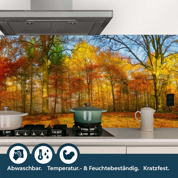 Küchenrückwand Folie Herbst Wald Bild 4