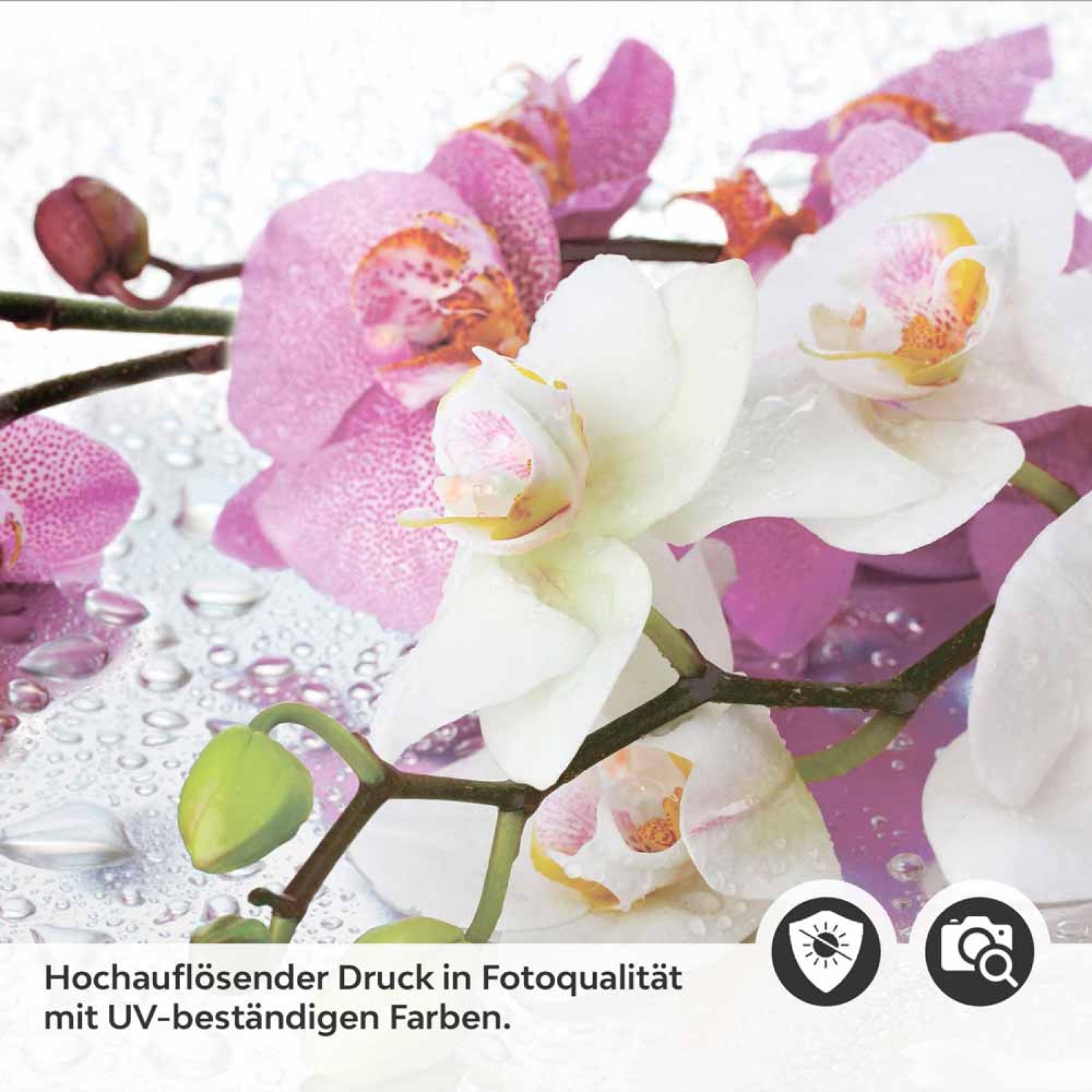 Küchenrückwand Folie Orchidee in Pink & Weiß Detailbild 2