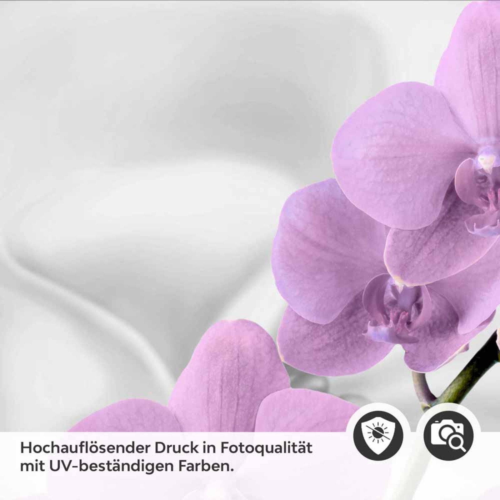 Küchenrückwand Folie Orchidee Design Detailbild 2
