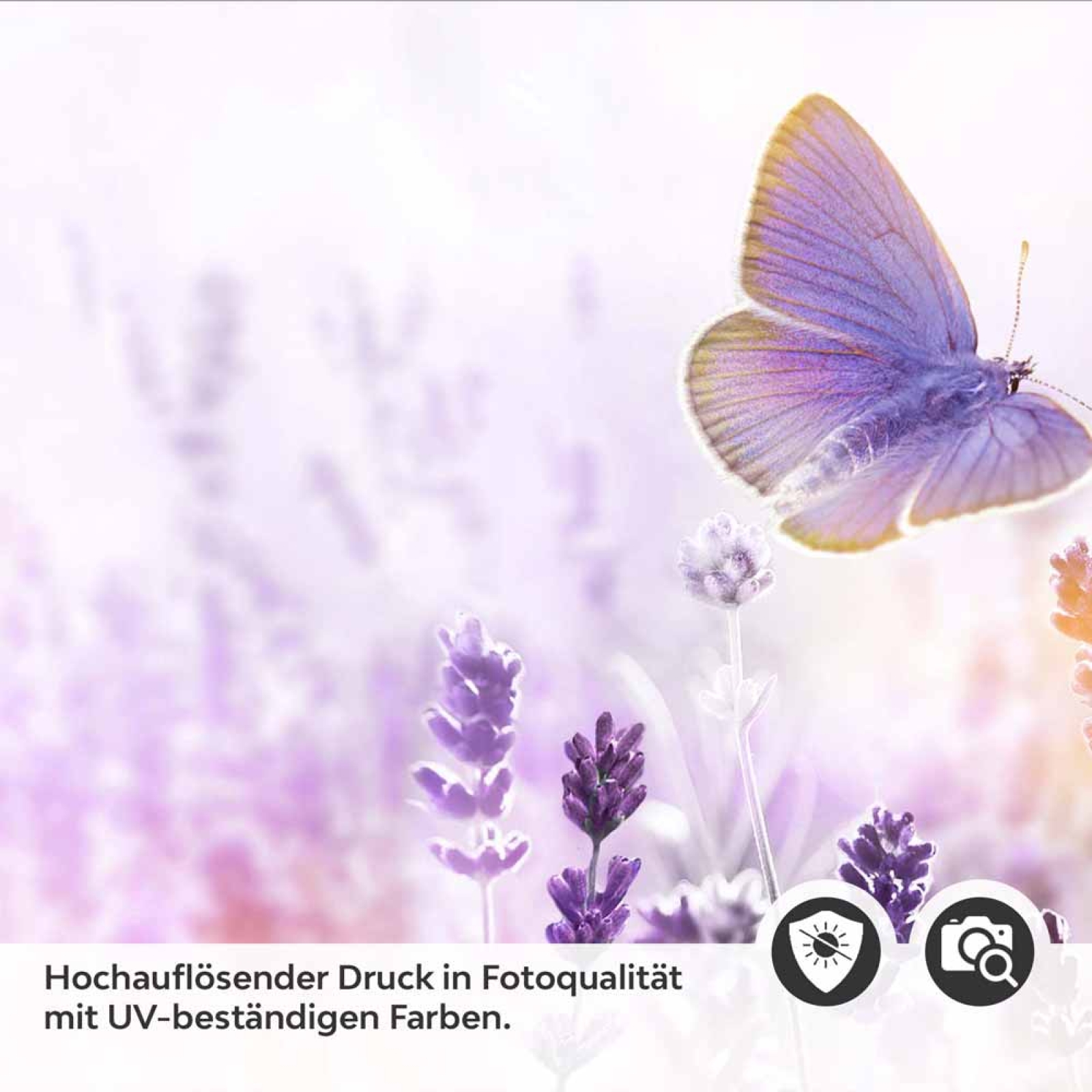 Küchenrückwand Folie Lavendel Detailbild 2