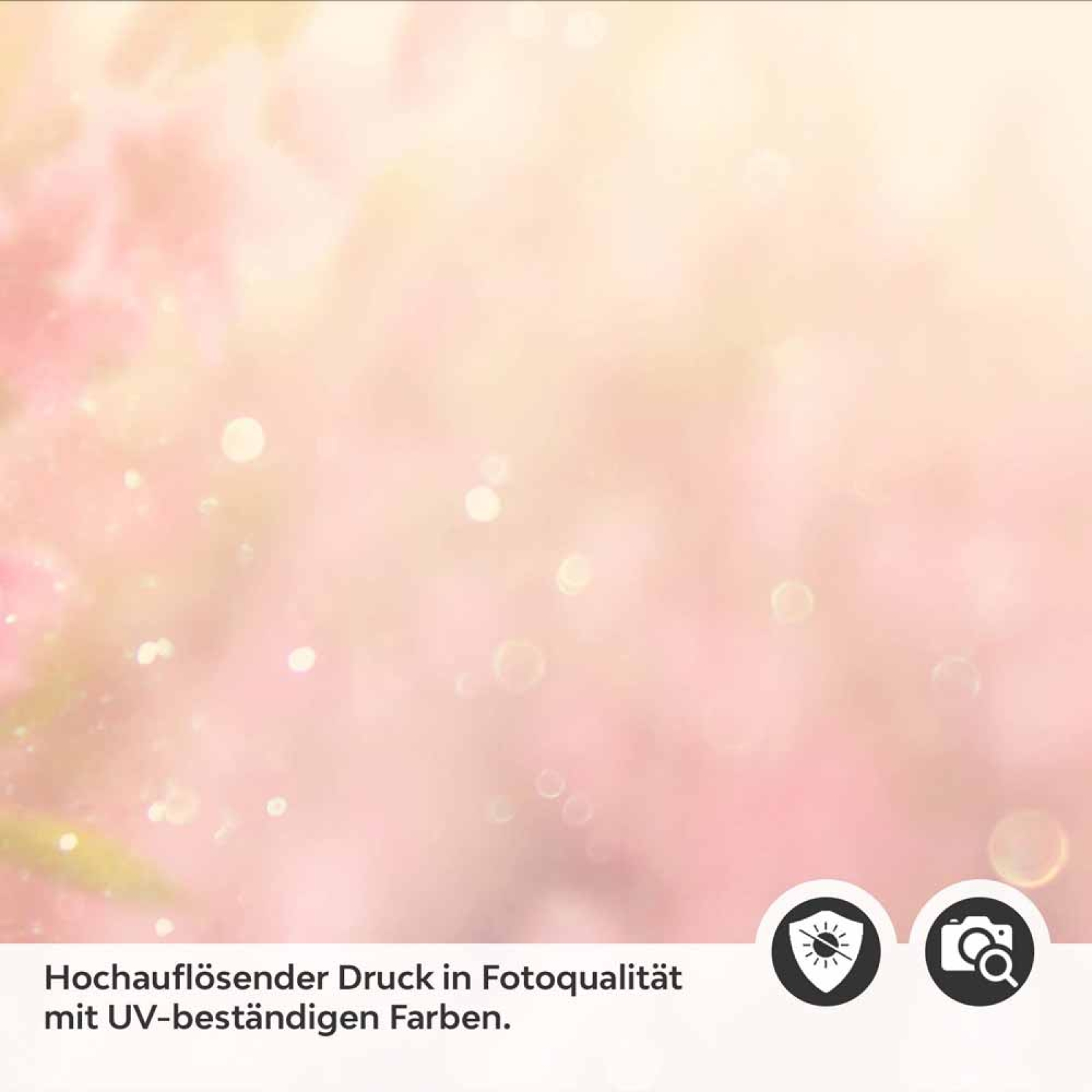 Küchenrückwand Folie rosa Blumen Detailbild 2