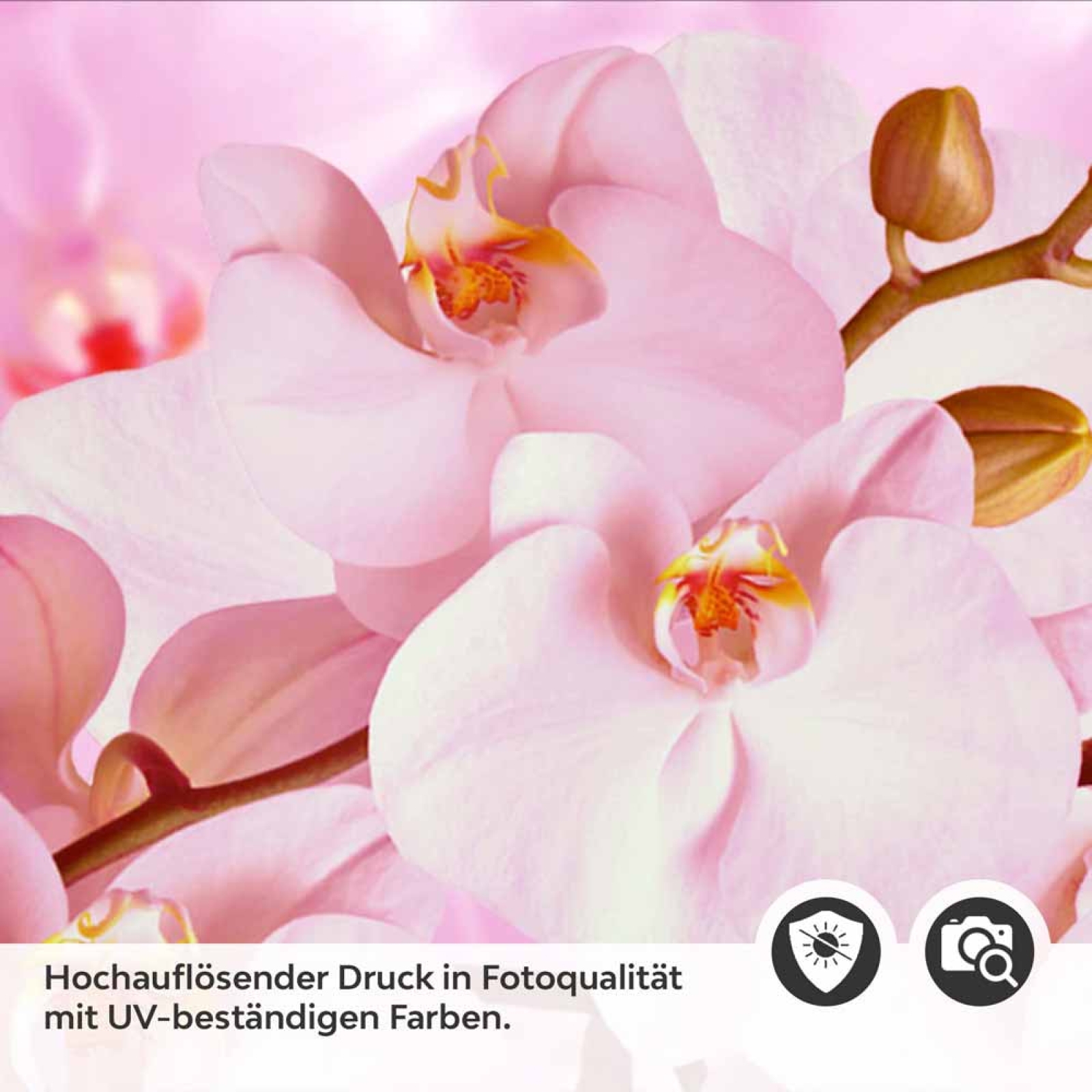 Küchenrückwand Folie rosa Orchideen Detailbild 2