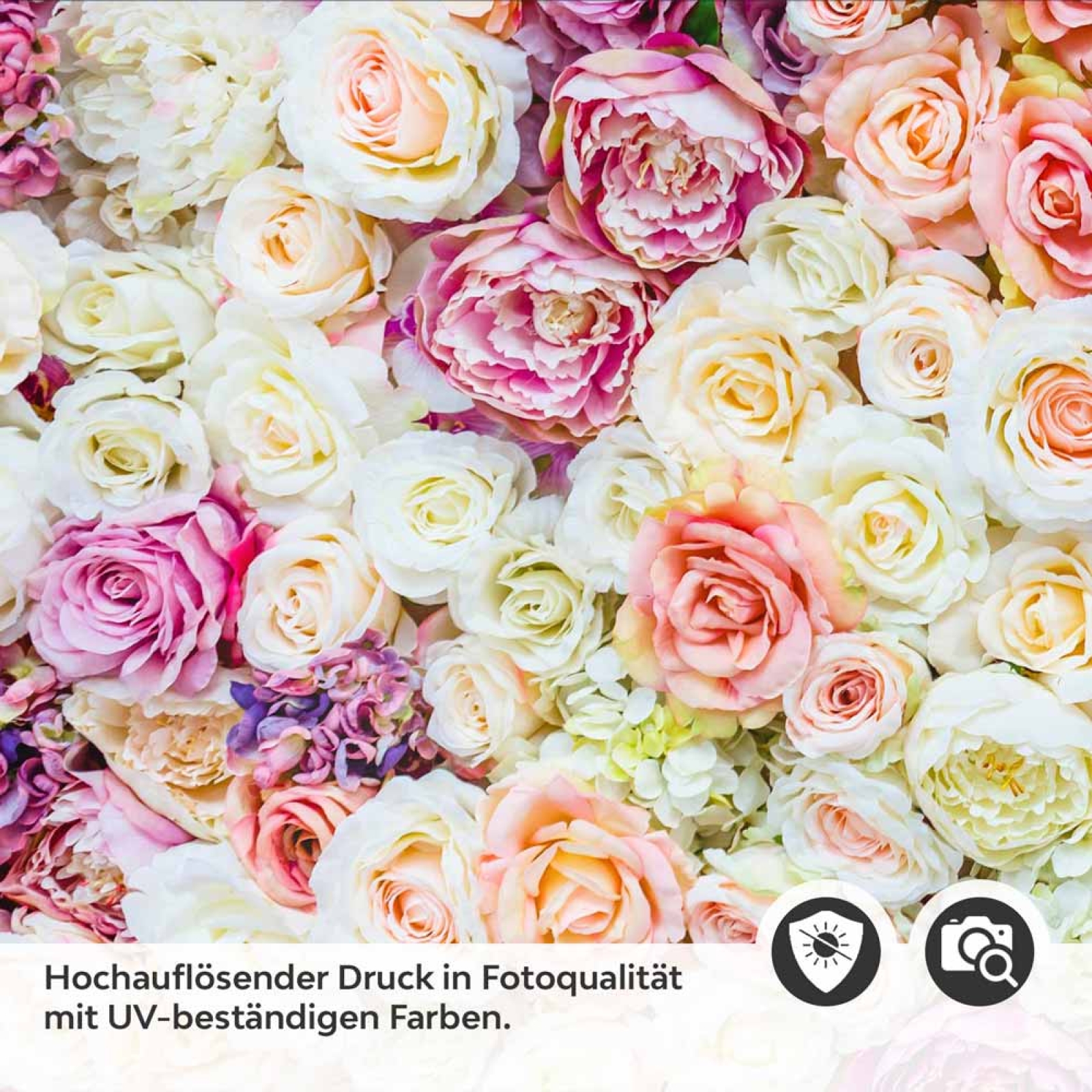 Küchenrückwand Folie elegante Rosen in Pastellfarben Detailbild 2