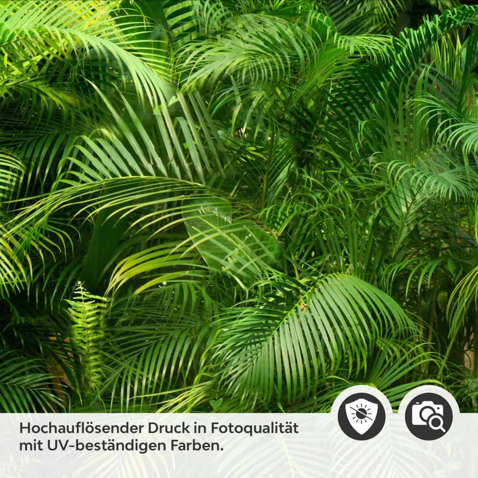 Küchenrückwand Folie tropische Palmenblätter Detailbild 2
