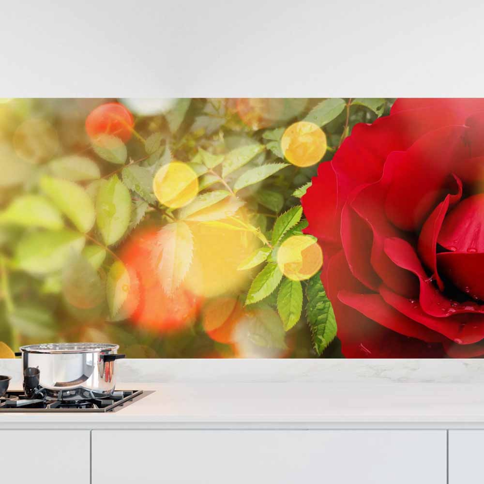 Küchenrückwand Folie blühende Rose Hauptbild 1