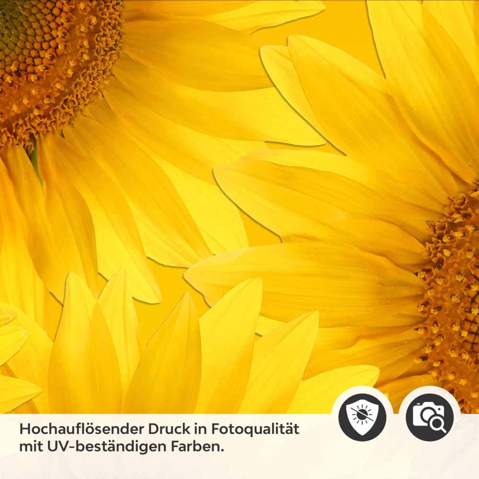 Küchenrückwand Folie Sunflowers Detailbild 2