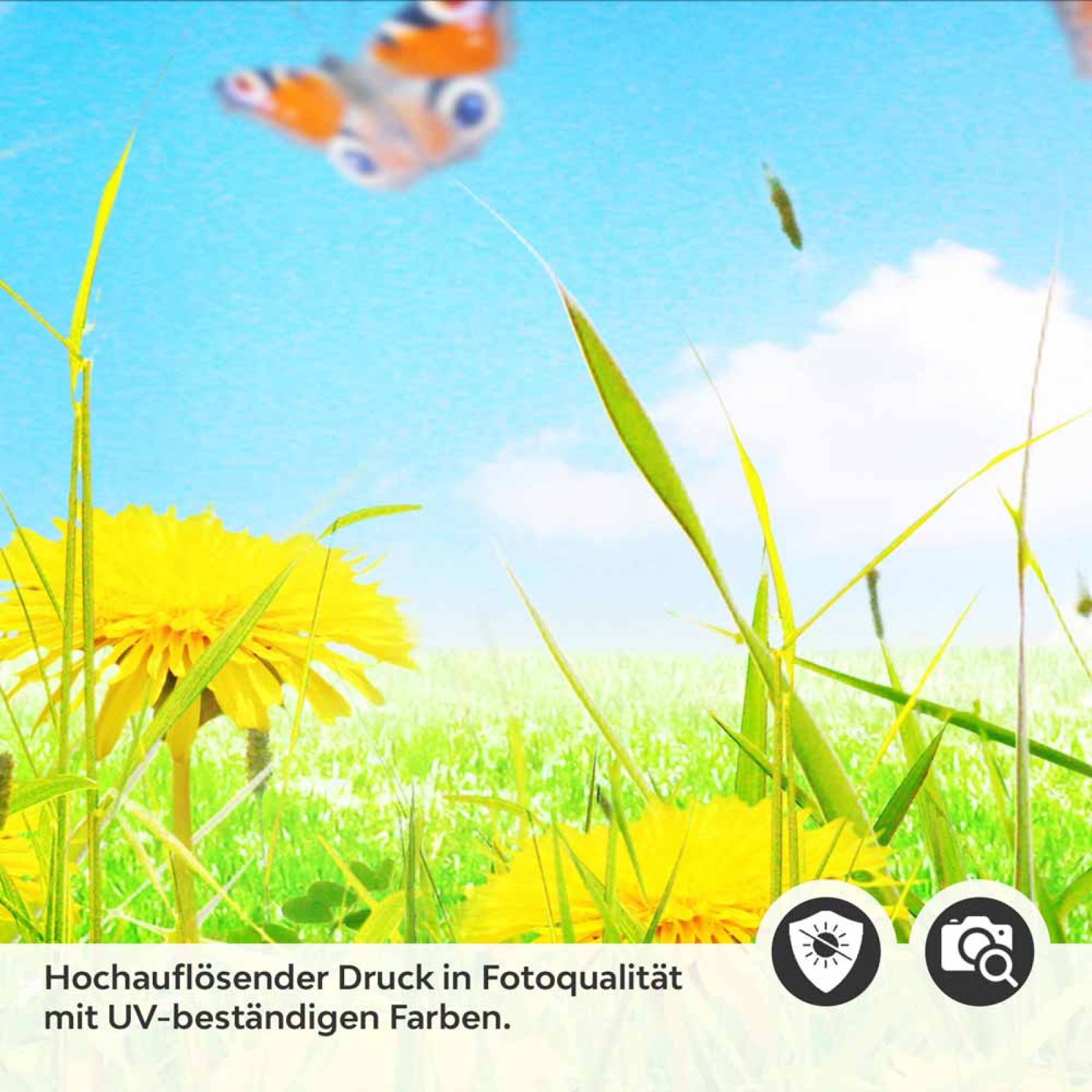 Küchenrückwand Folie Frühling Detailbild 2