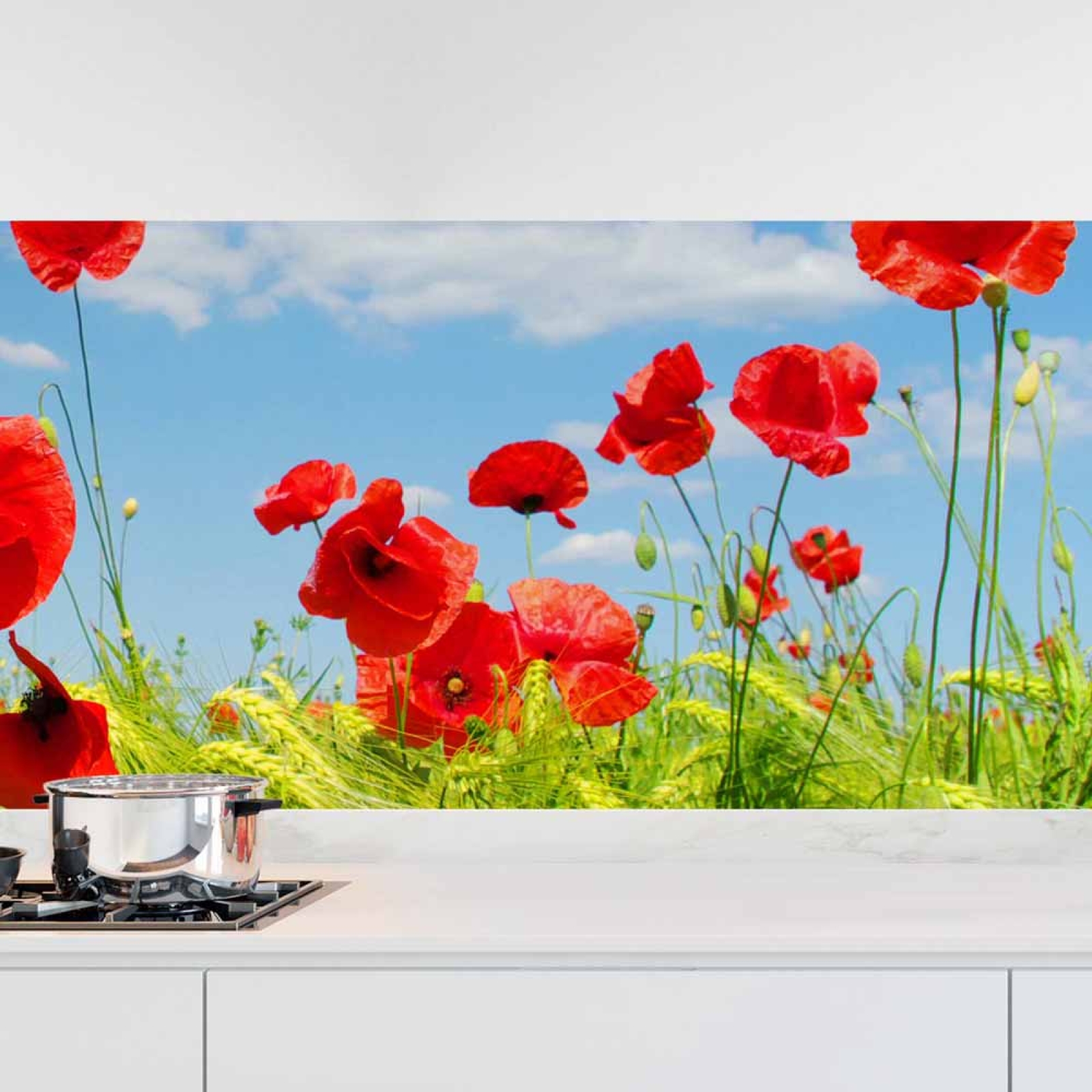 Küchenrückwand Folie Mohnblumen Feld Hauptbild