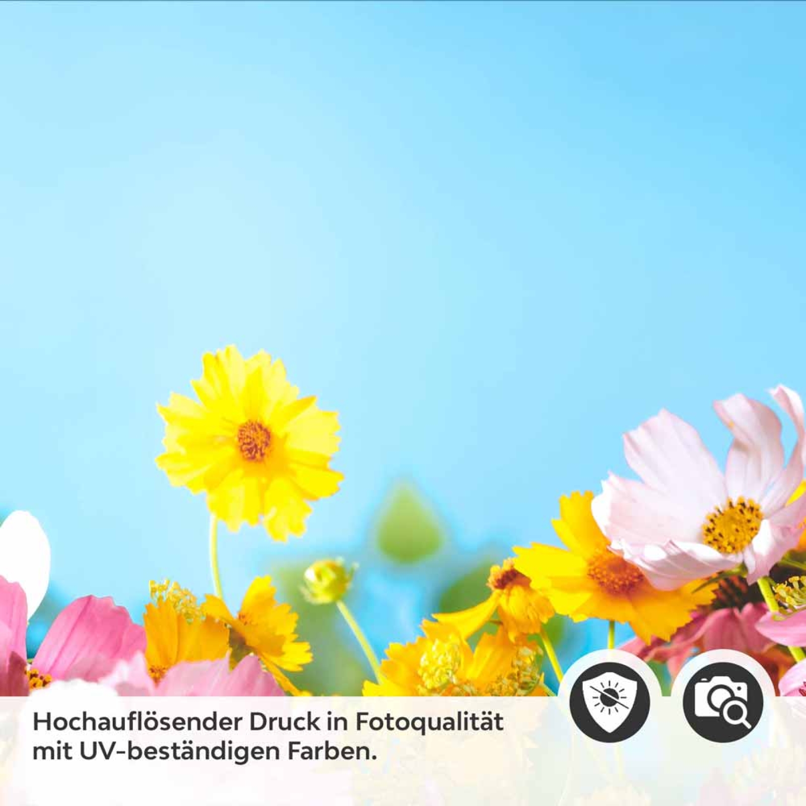 Küchenrückwand Folie Blumen im Frühling Detailbild 2