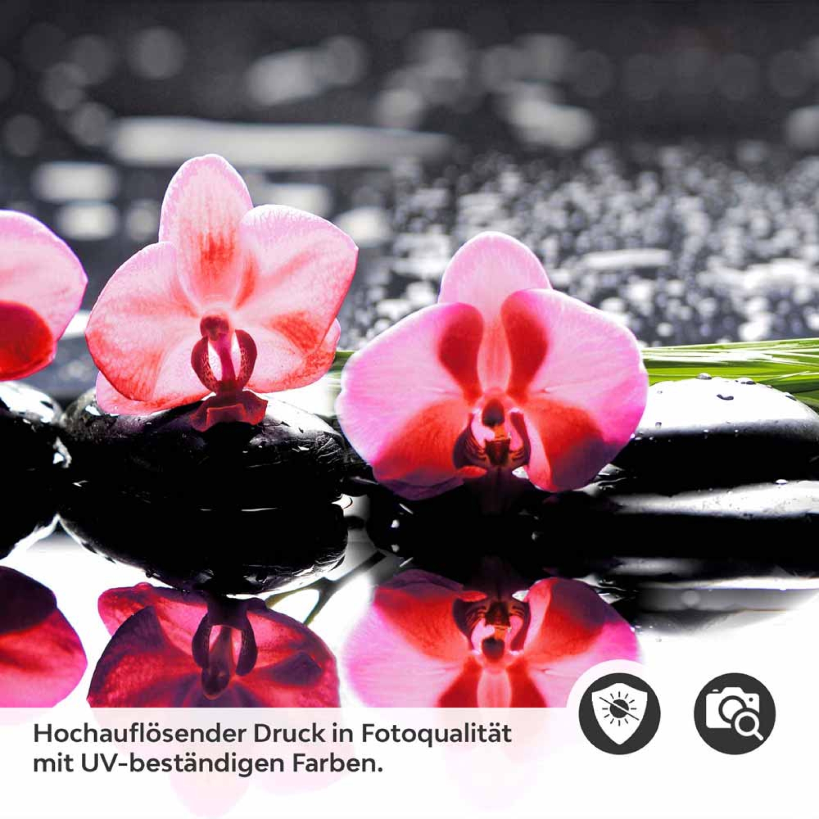 Küchenrückwand Folie Orchideen Oase Detailbild 2