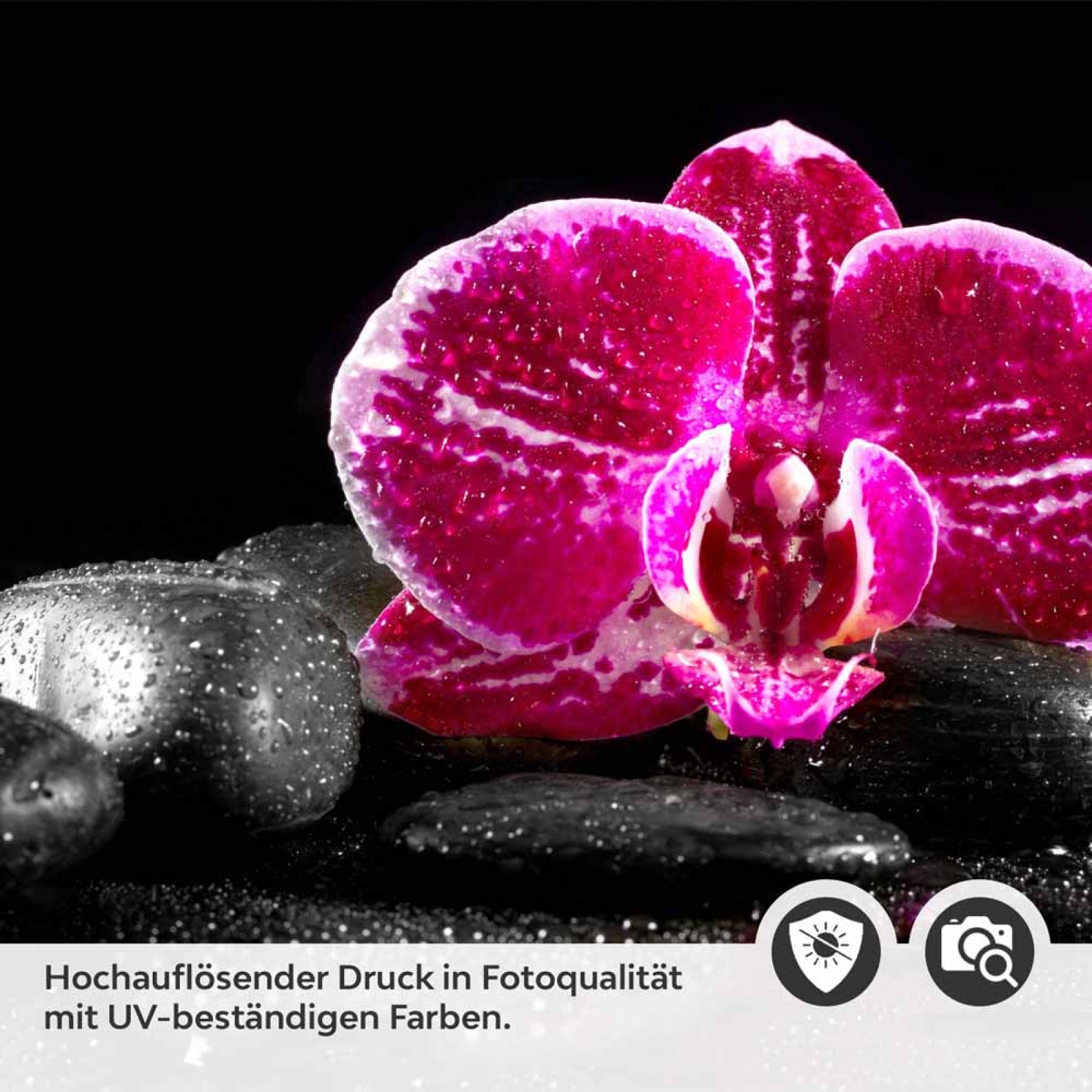 Küchenrückwand Folie pinke Orchideen Detailbild 2