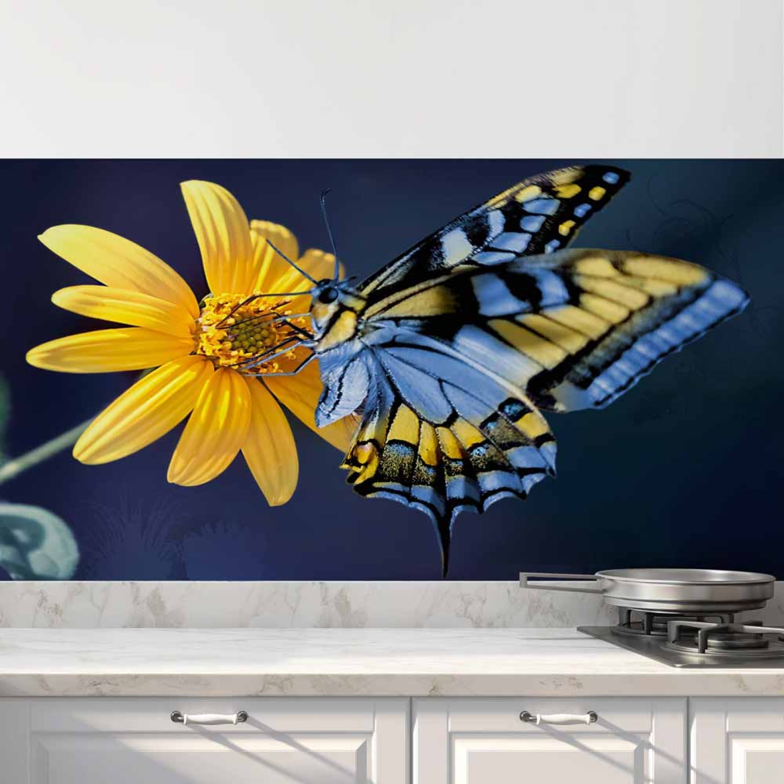Küchenrückwand Folie Sonnenauge & Schmetterling Hauptbild