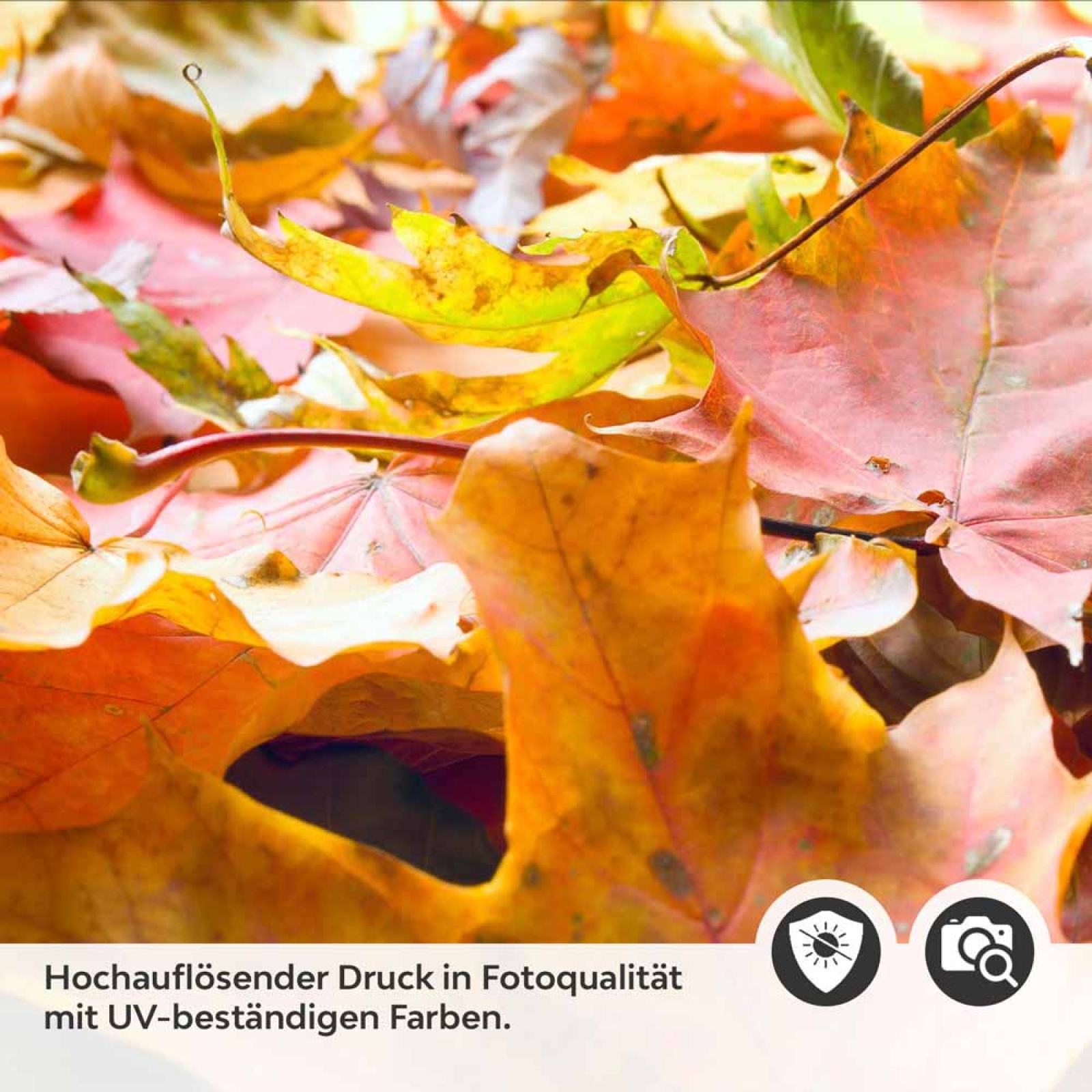 Küchenrückwand Folie Herbstblätter Detailbild 2