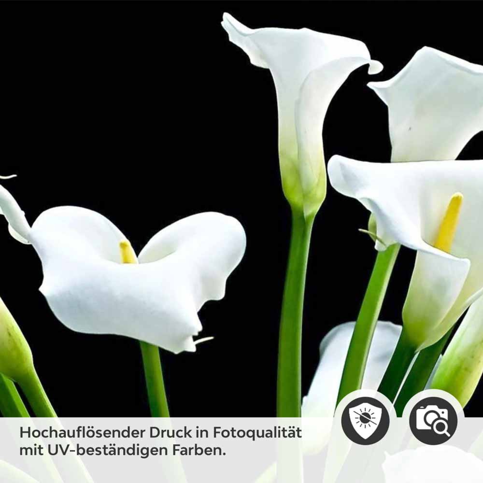 Küchenrückwand Folie weiße Calla-Lilien Detailbild 2