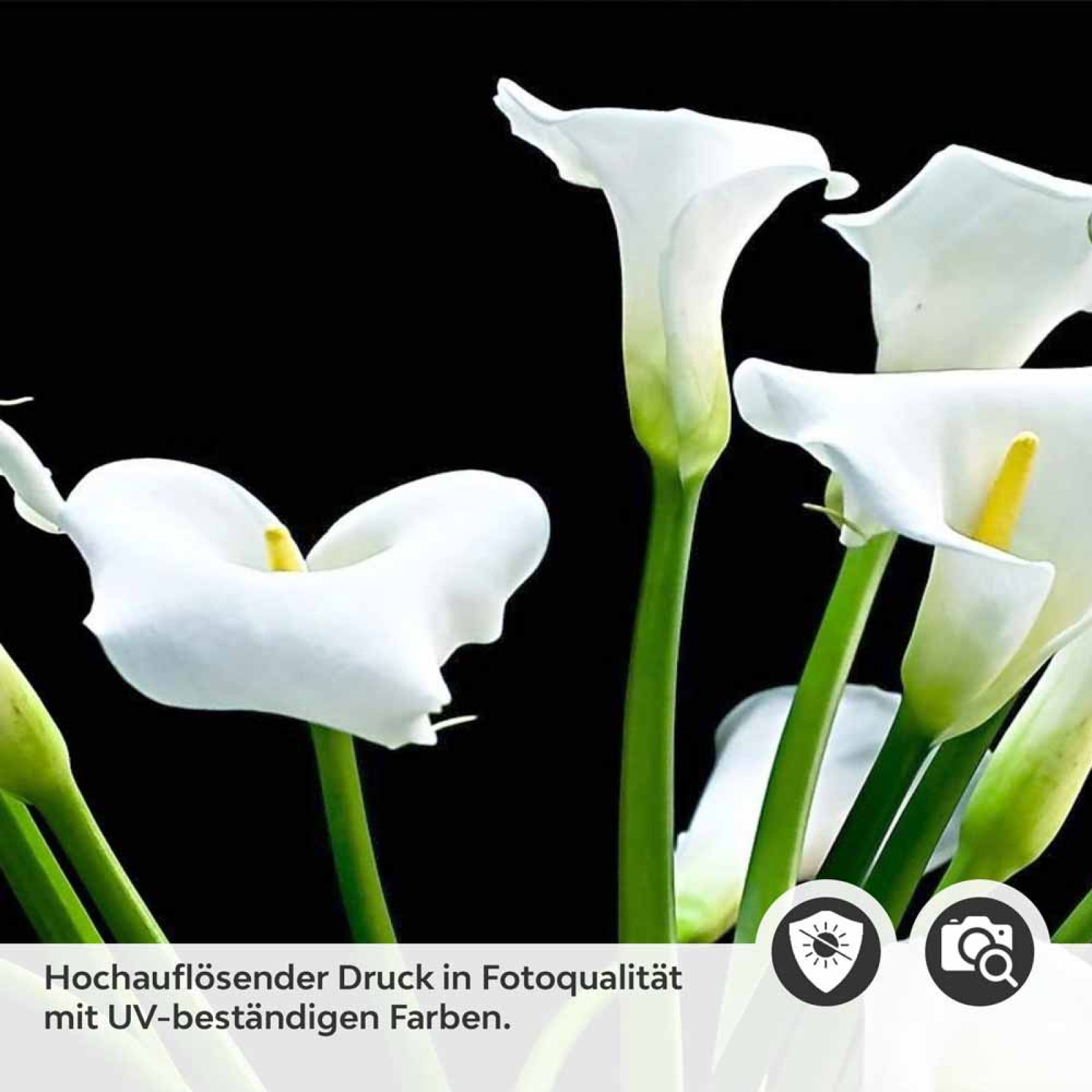 Küchenrückwand Folie elegante Calla-Blüten Detailbild 2