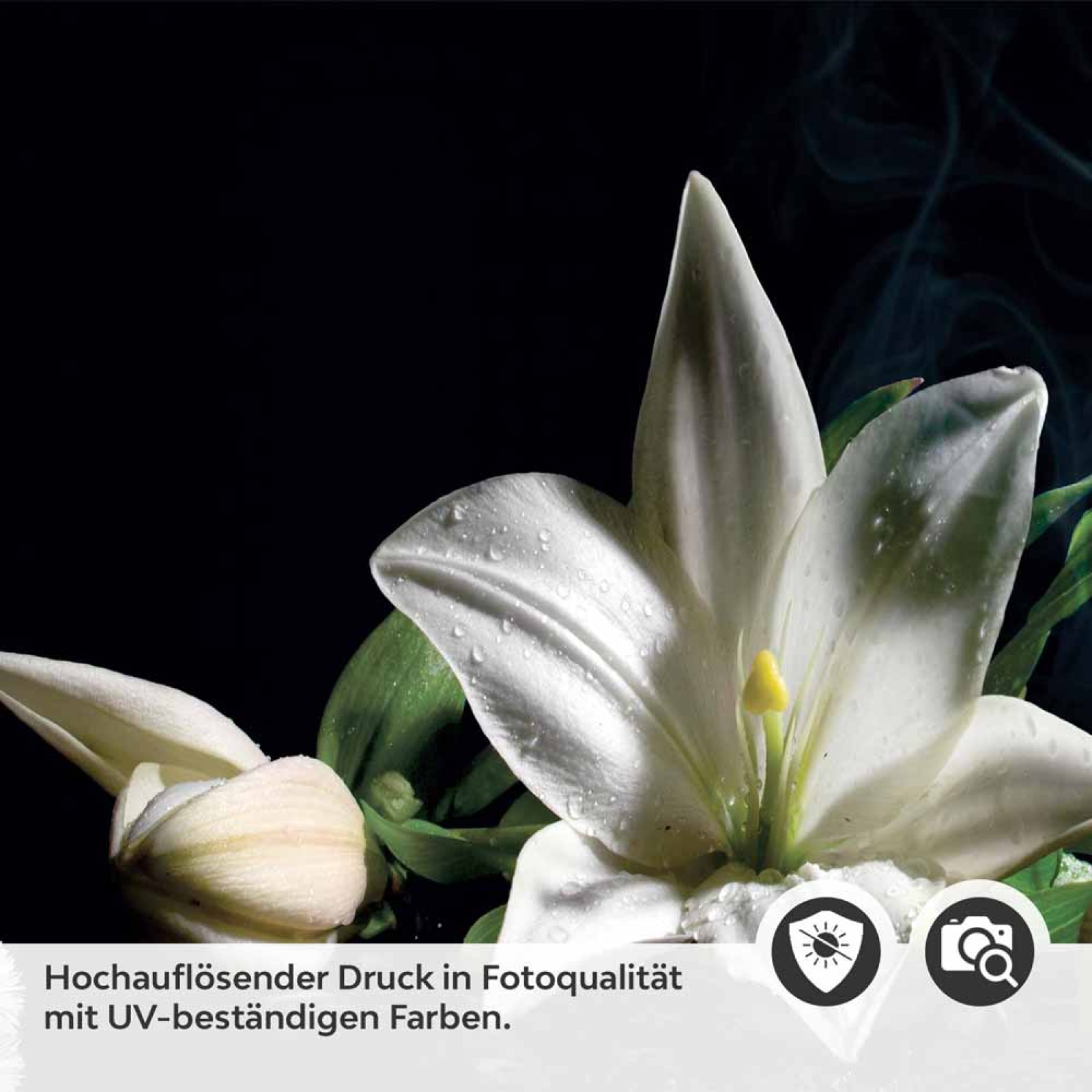 Küchenrückwand Folie asiatische Harmonie - Zen-Motiv mit Lilien Detailbild 2