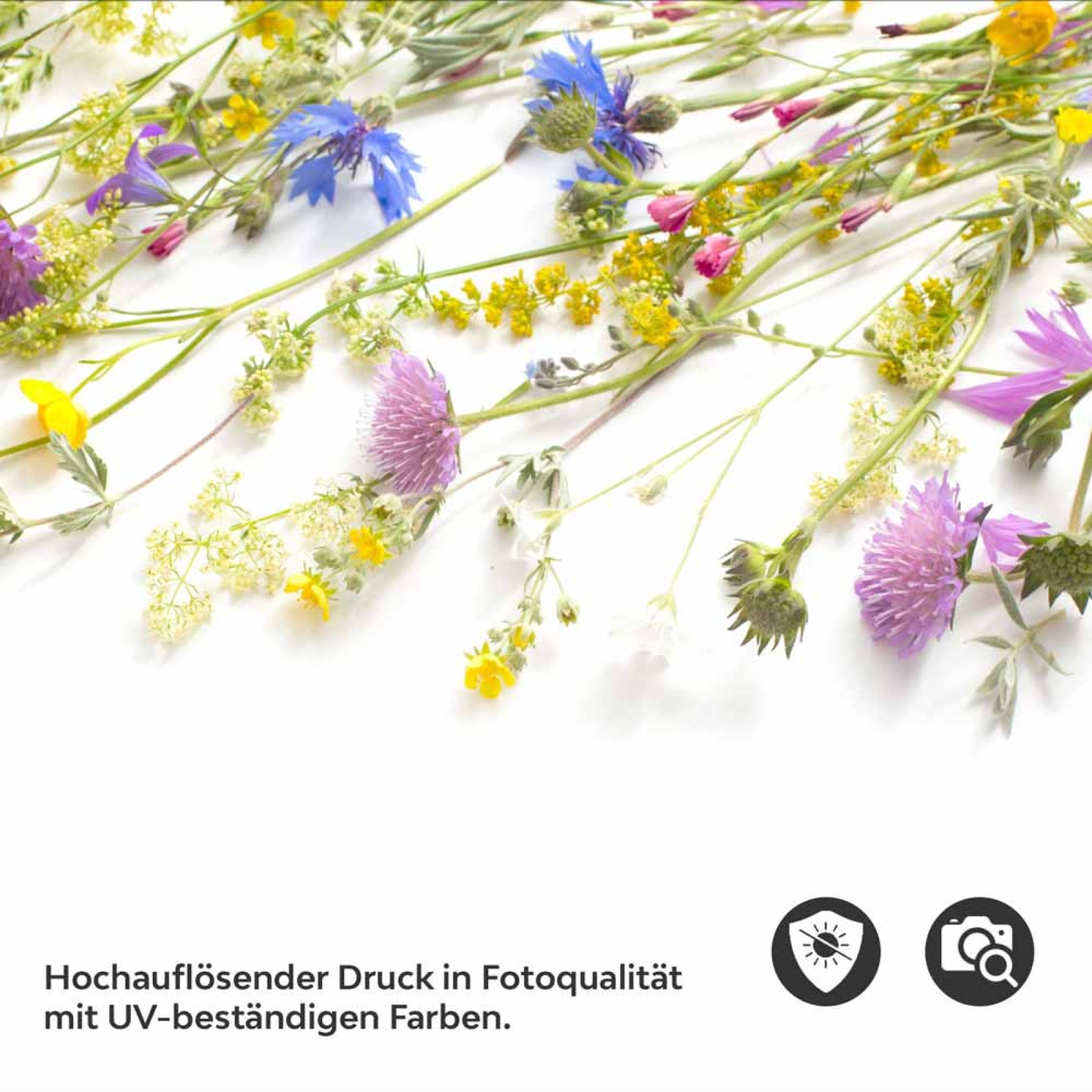 Küchenrückwand Folie Wildblumen – Frische und Farbe in Ihrer Küche Detailbild 2