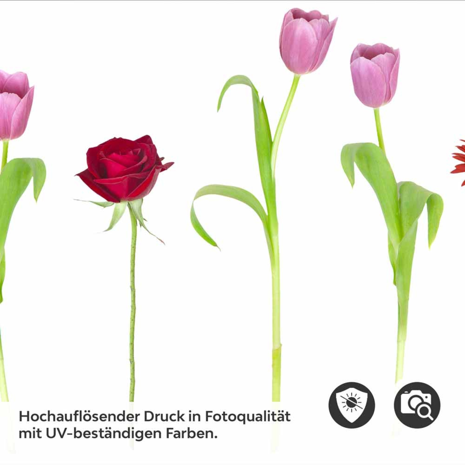 Küchenrückwand Folie bunter Blumenmix Detailbild 2