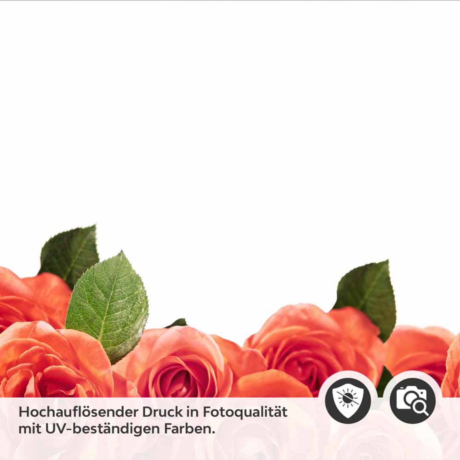 Küchenrückwand Folie Rosenoptik Detailbild 2