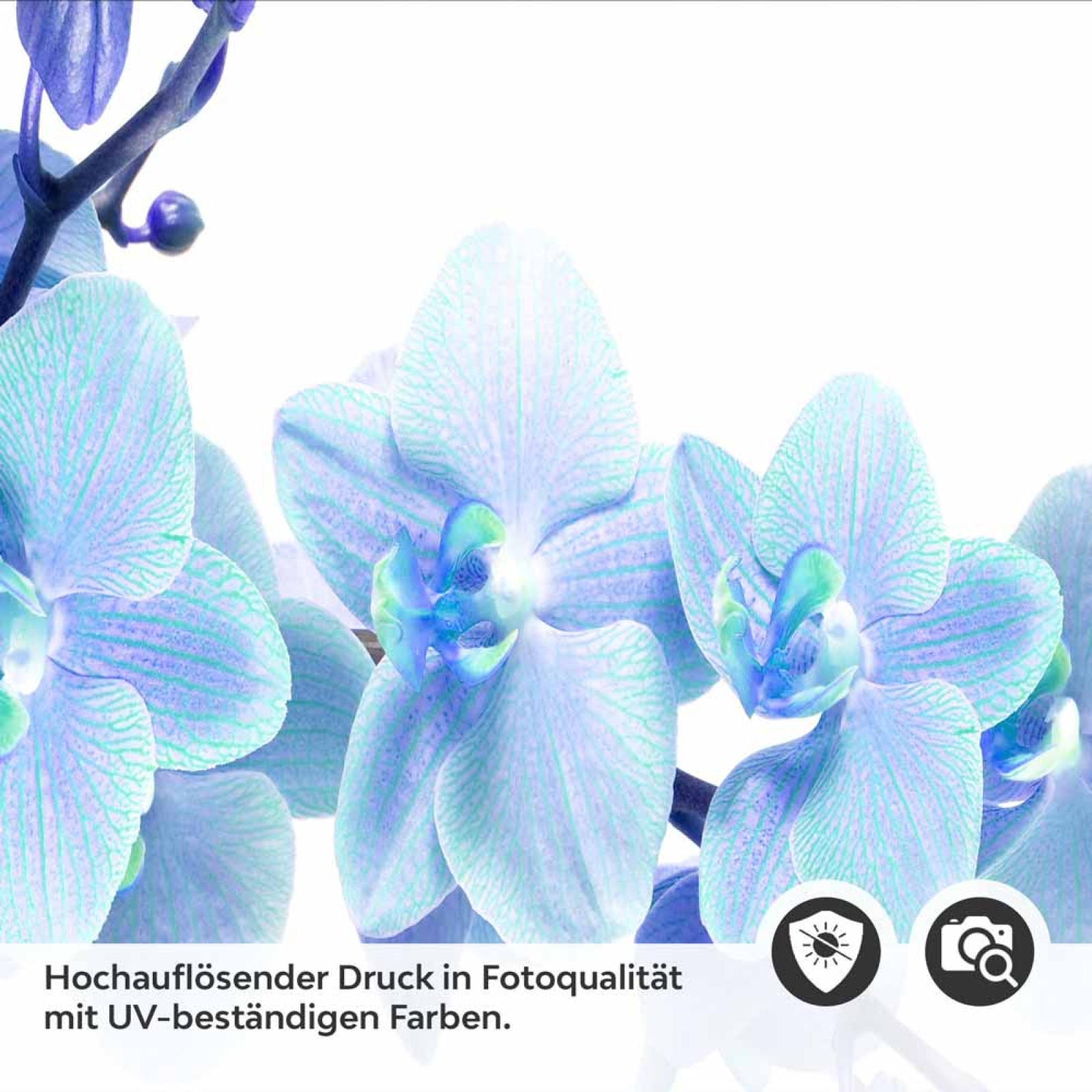 Küchenrückwand Folie Orchideenmotiv Detailbild 2