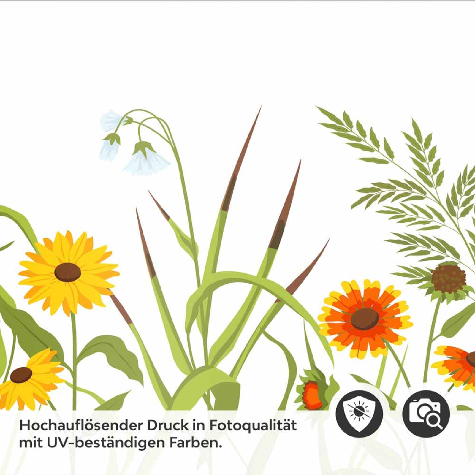 Küchenrückwand Folie Naturwiese - Zeitloses Design mit Gräsern und Blumen Detailbild 2