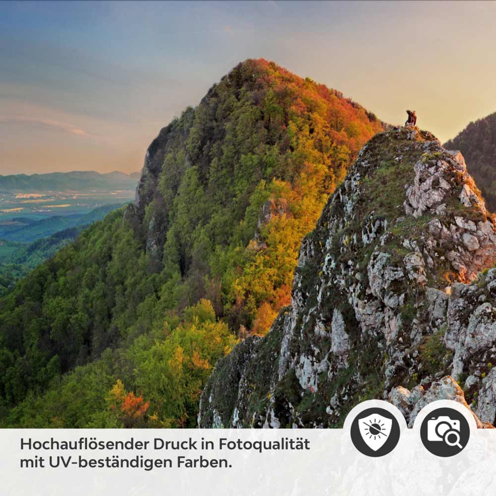 Küchenrückwand Folie slowakische Bergidylle Detailbild 2