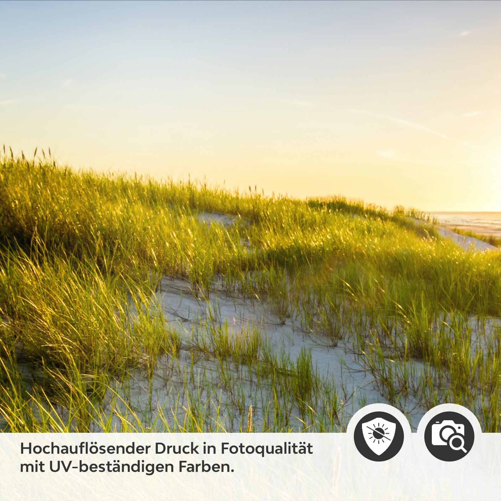 Küchenrückwand Folie Düne am Meer Detailbild 2
