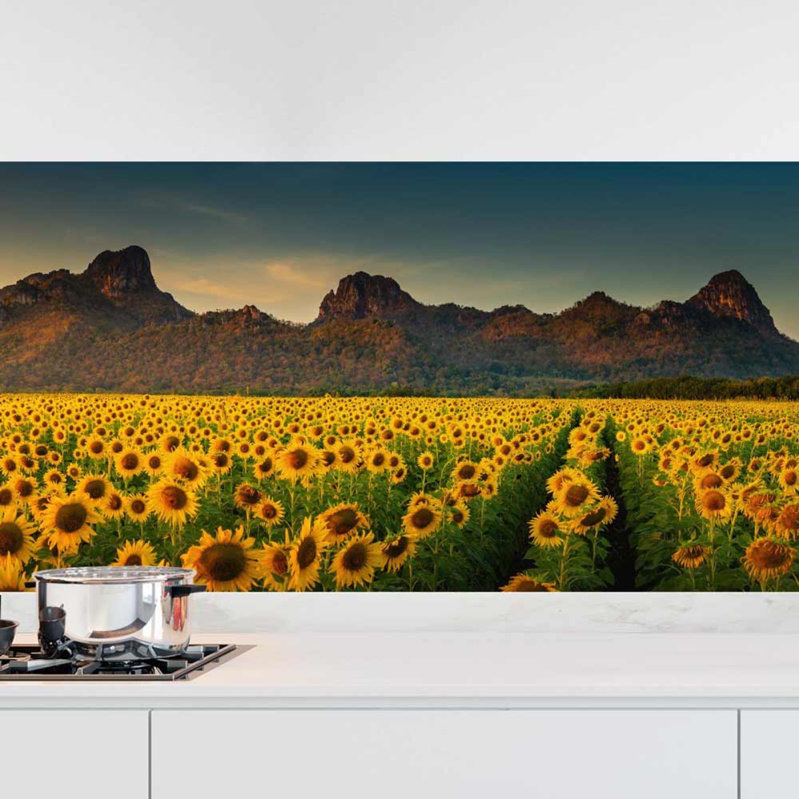 Küchenrückwand Folie Sonnenblumen Feld Hauptbild 1