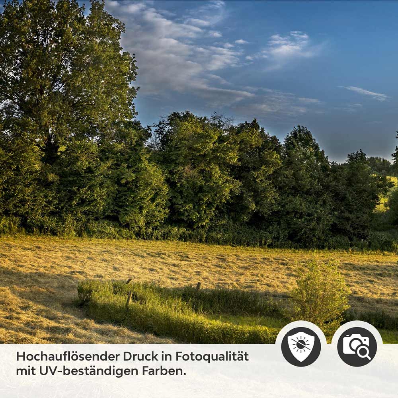 Küchenrückwand Folie Landschaft im Frühling Detailbild 2
