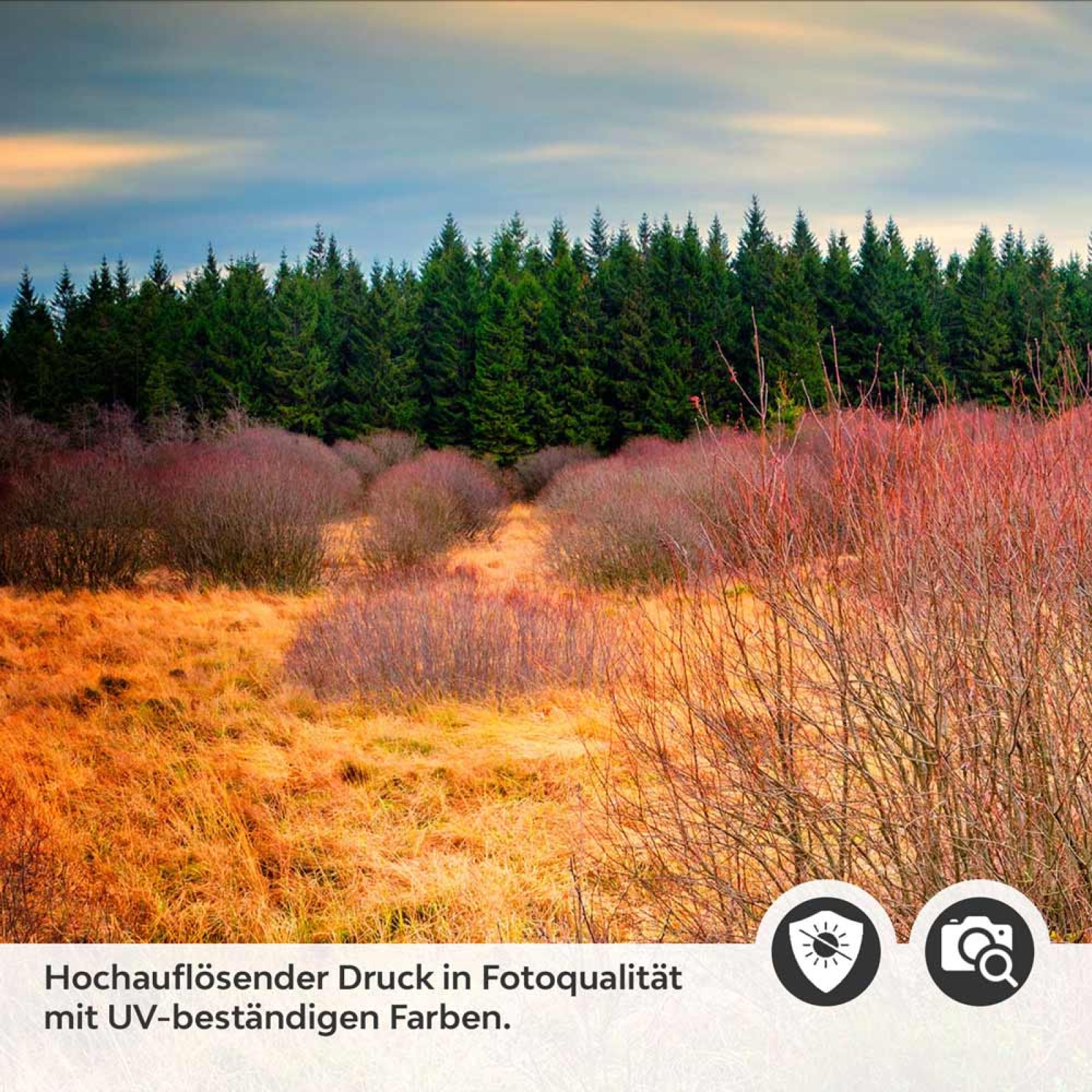 Küchenrückwand Folie Holzweg durch die Herbstlandschaft Detailbild 2