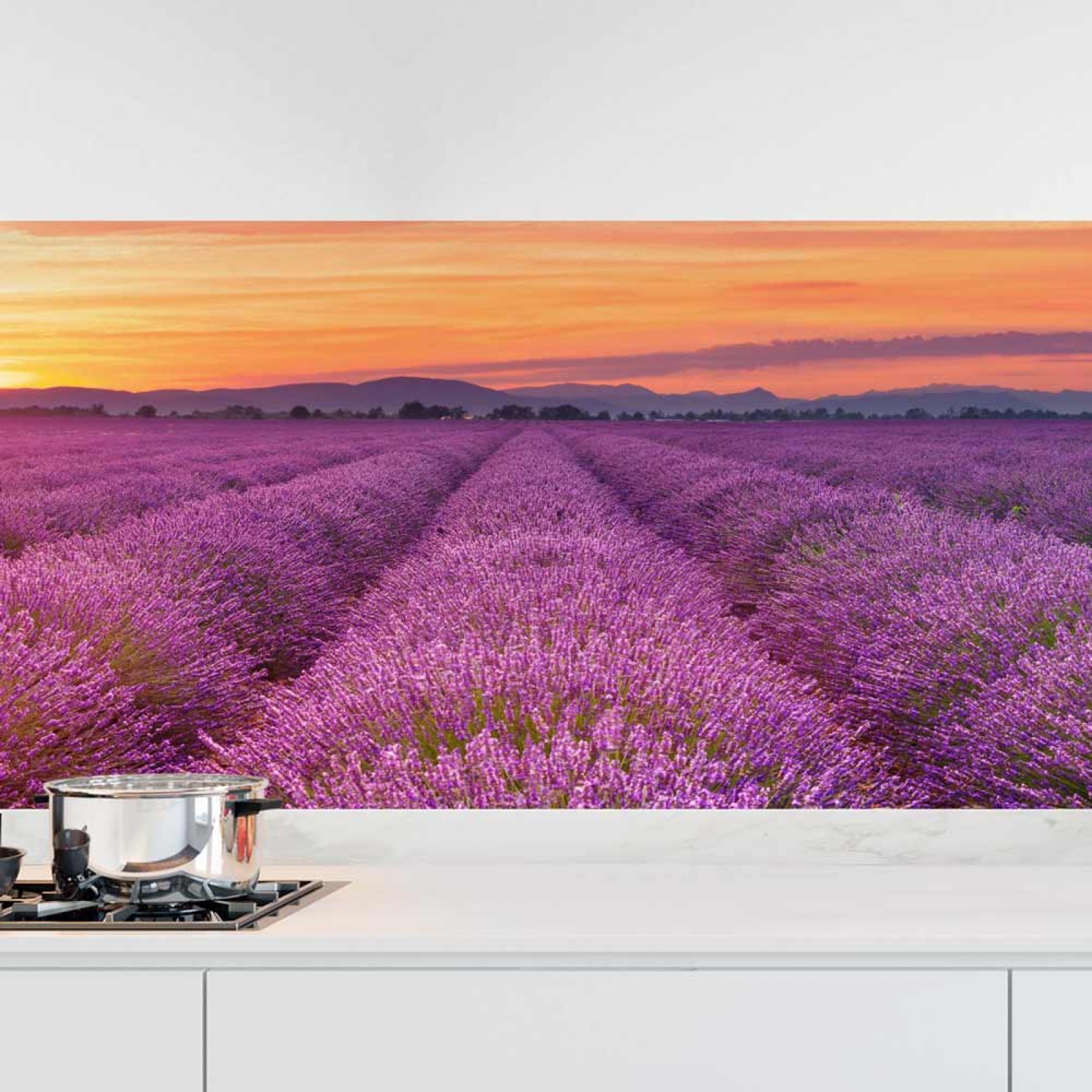 Küchenrückwand Folie Lavendel Panorama Hauptbild 1