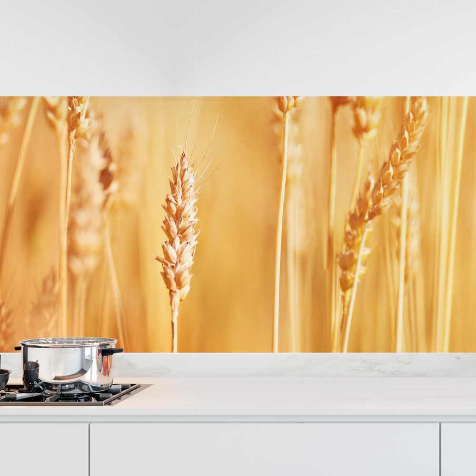 Küchenrückwand Folie goldene Weizen Hauptbild 1