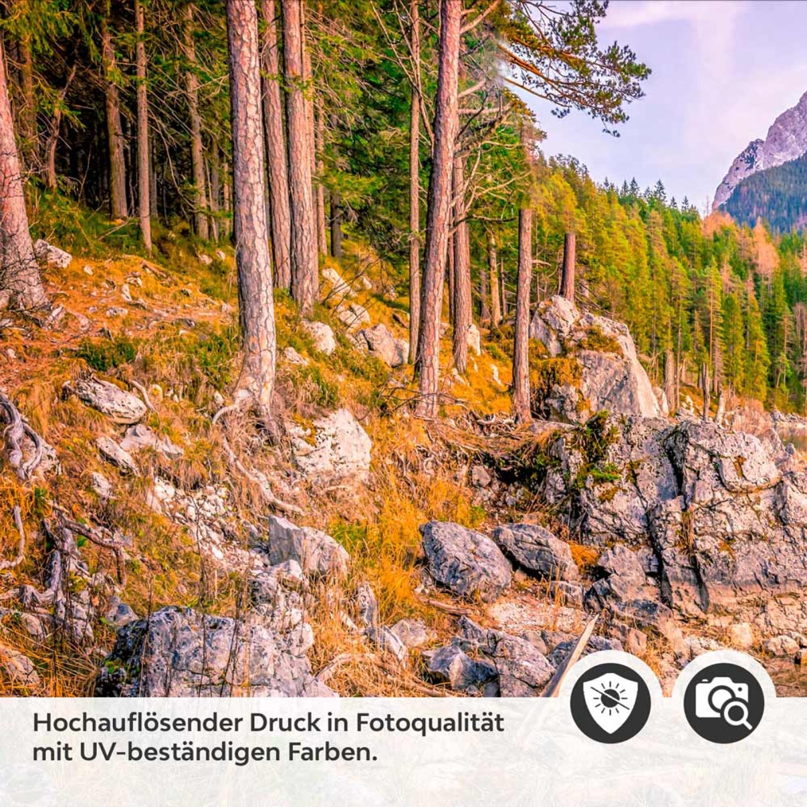 Küchenrückwand Folie See Panorama - Bergidylle und Naturzauber Detailbild 2