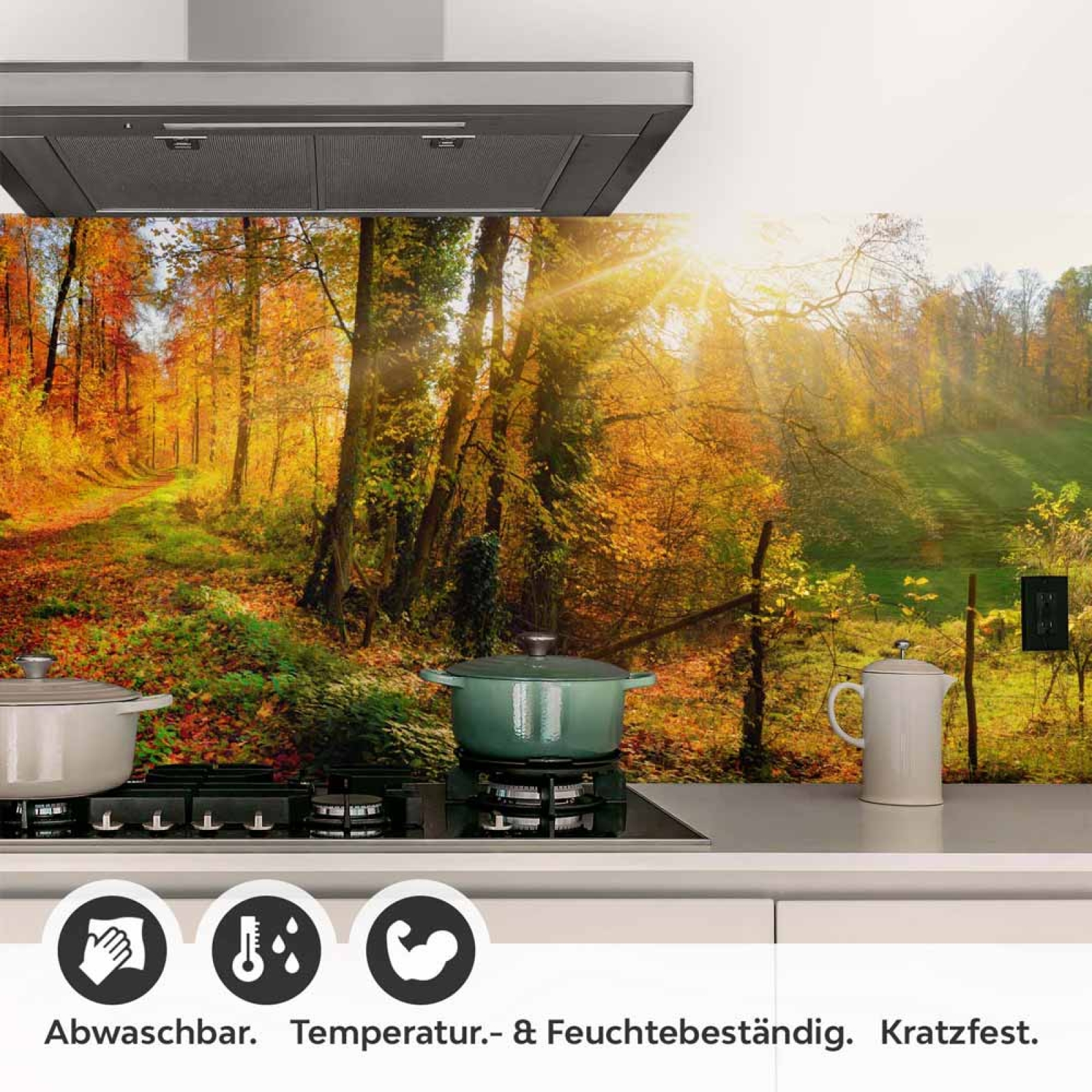 Küchenrückwand Folie Weg durch den Wald im Herbst Detailbild 1