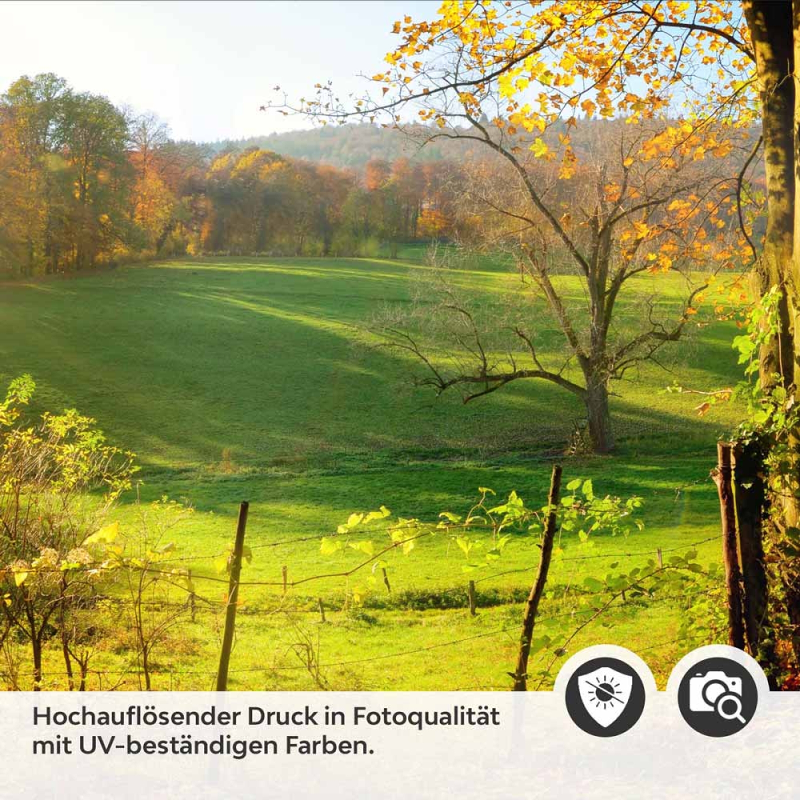 Küchenrückwand Folie Weg durch den Wald im Herbst Detailbild 2