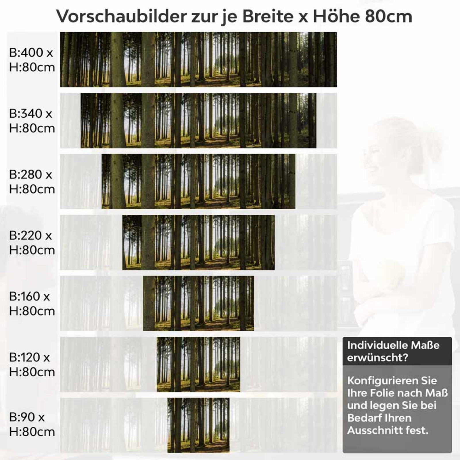 Küchenrückwand Folie Nadelwald - Lichtspiel der Natur Höhe 80cm