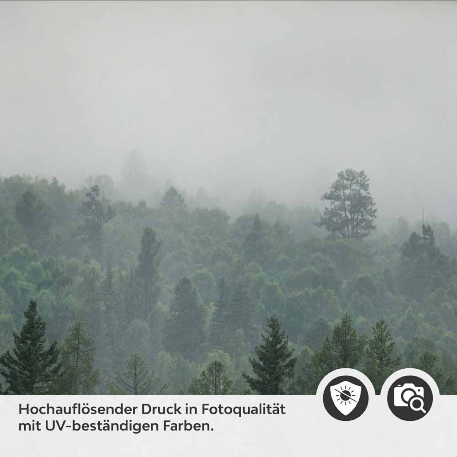 Küchenrückwand Folie Wald im Nebel Detailbild 2