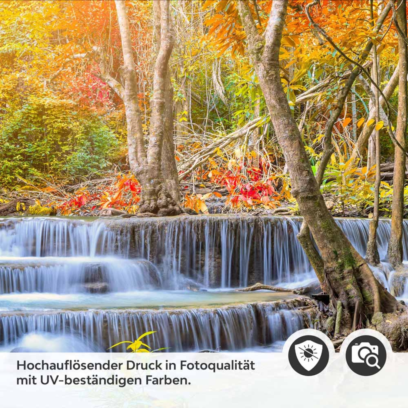Küchenrückwand Folie Wasserfall im Herbstwald Detailbild 2