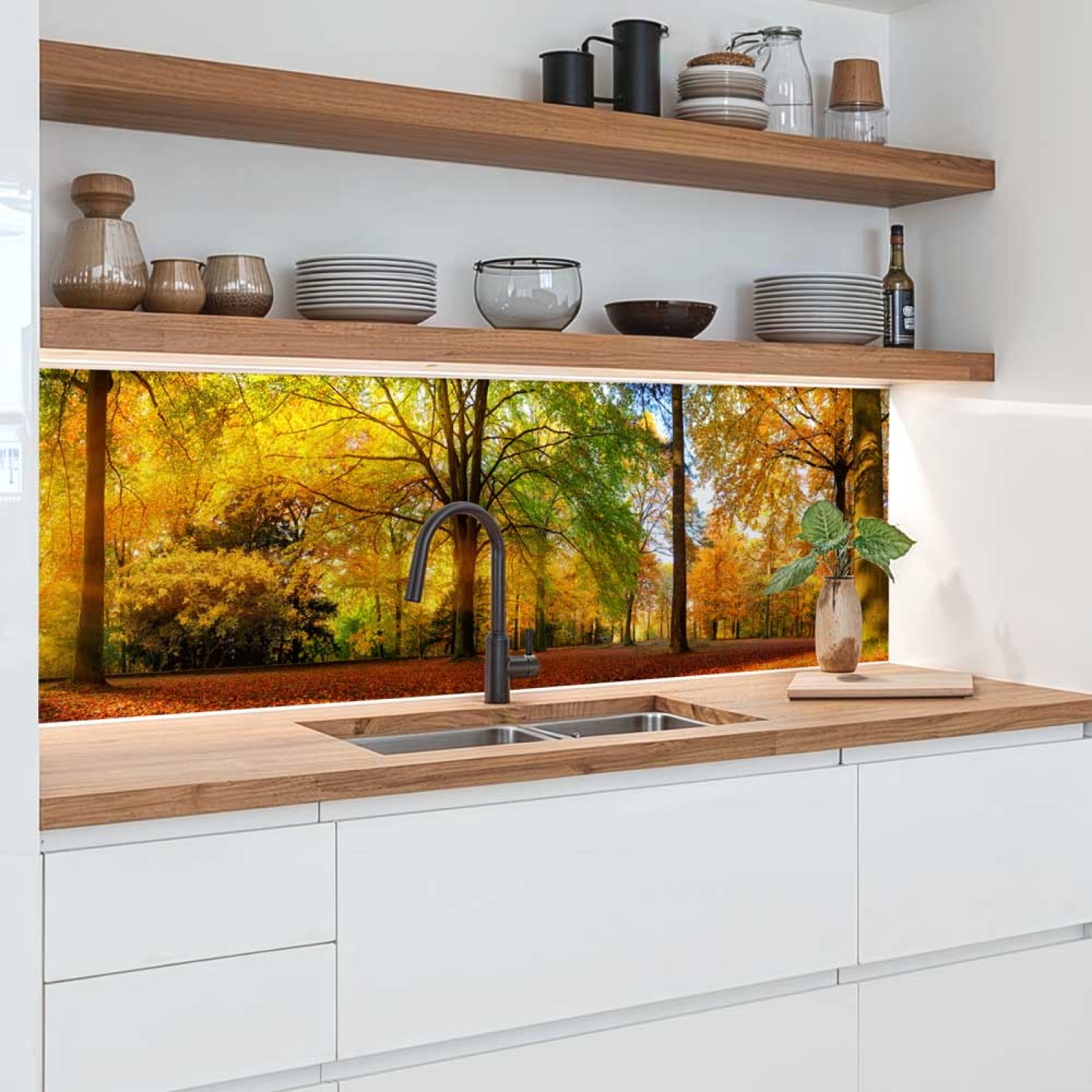 Küchenrückwand Platte Herbstlicher Wald Hauptbild 1