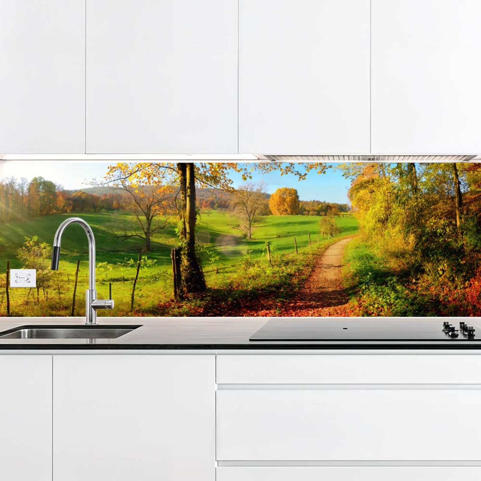 Küchenrückwand Platte Herbstlicher Waldweg Hauptbild 1