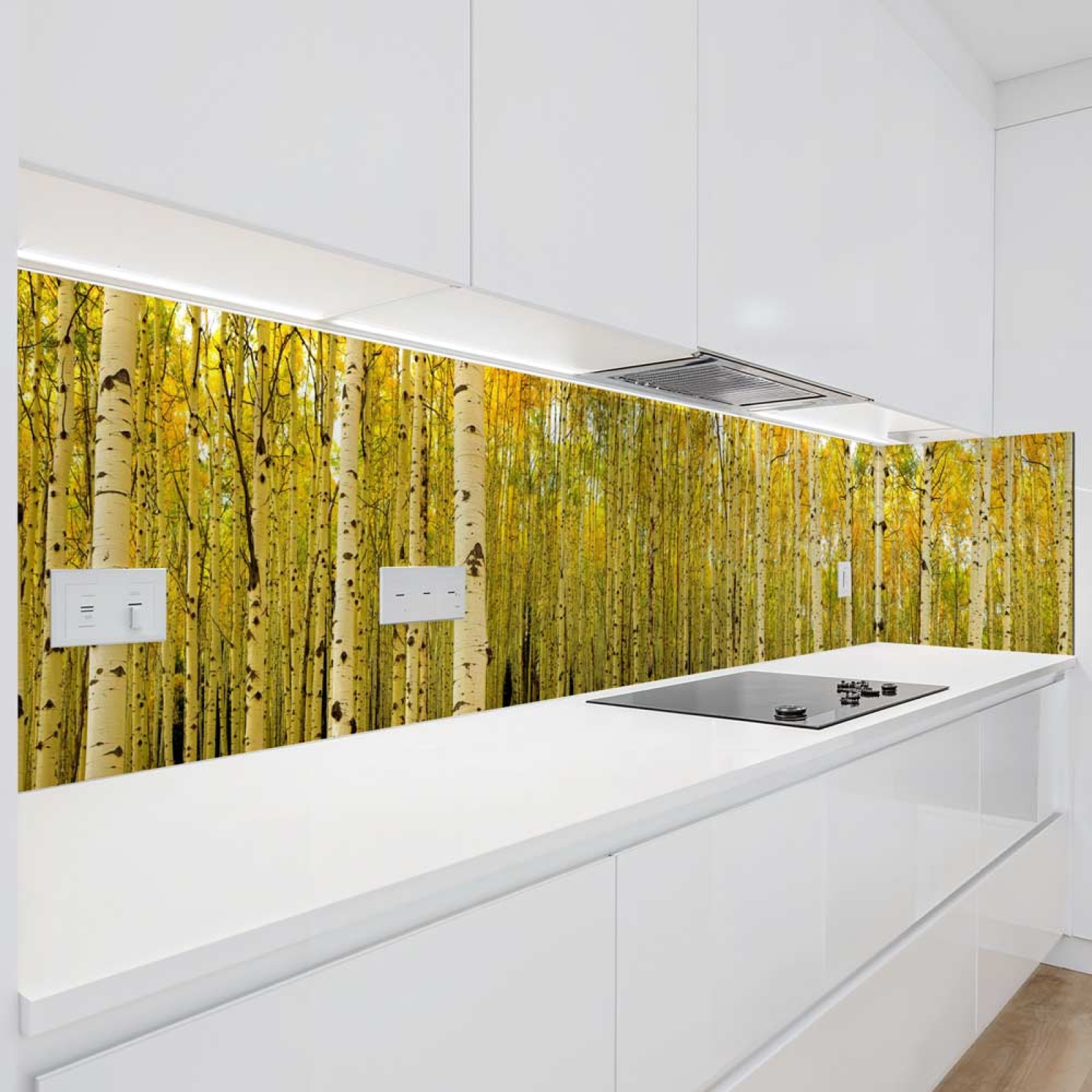 Küchenrückwand Platte Birkenwald Artikelbild 1