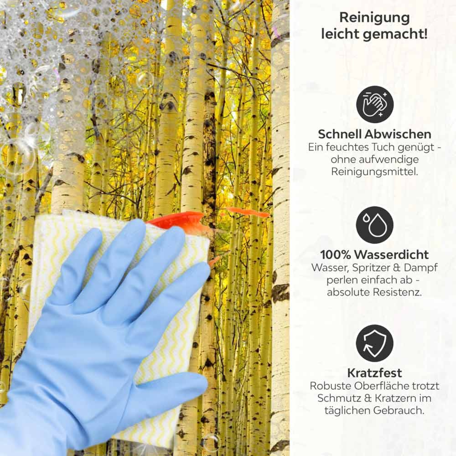 Küchenrückwand Platte Birkenwald Produktdetailbild 3: Reinigung leicht gemacht!