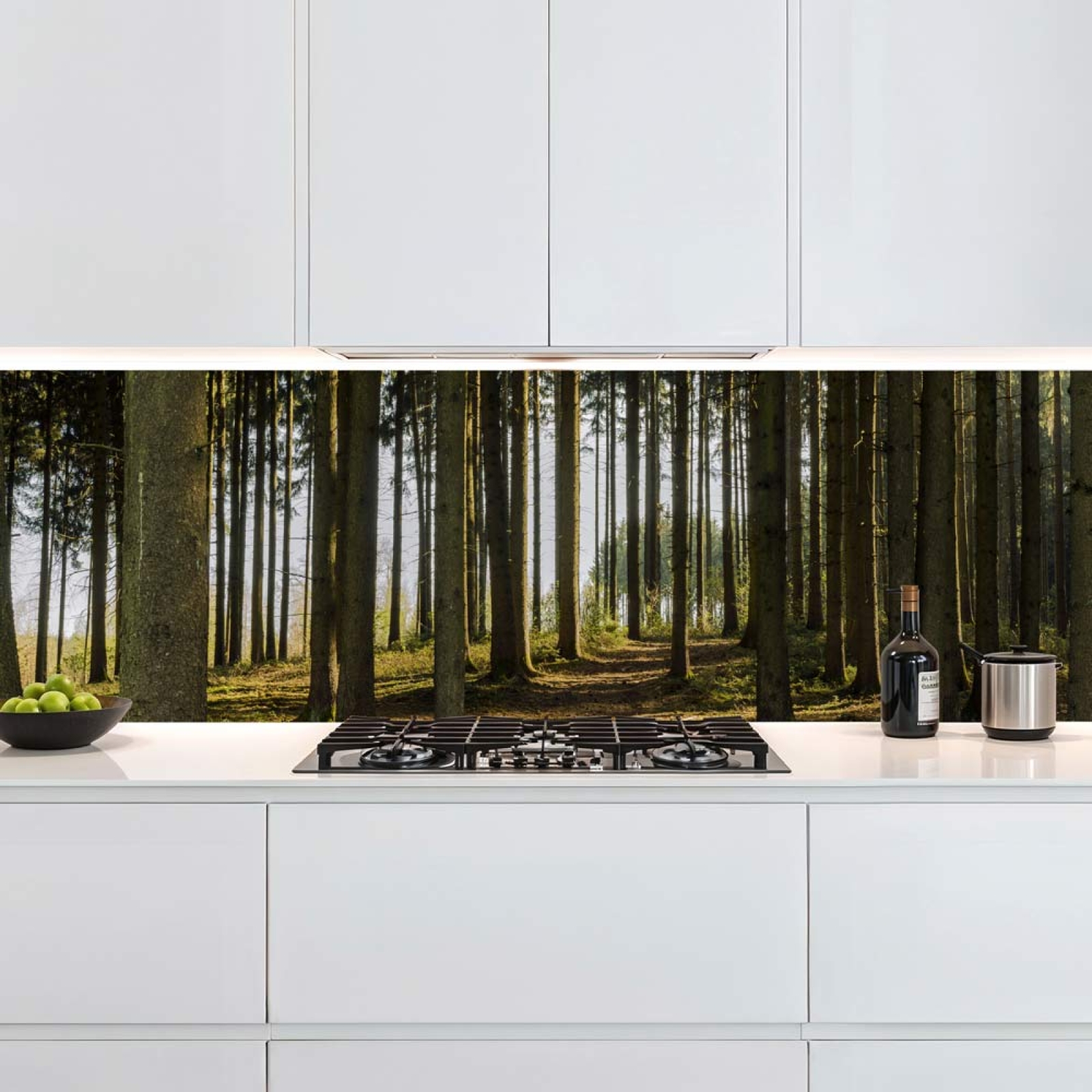Küchenrückwand Platte Nadelwald im Lichtspiel der Natur Artikelbild 1