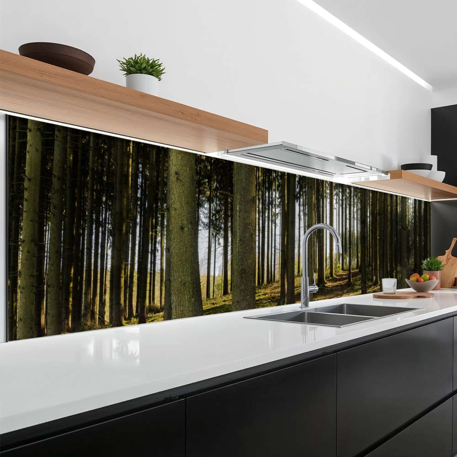 Küchenrückwand Platte Nadelwald im Lichtspiel der Natur Artikelbild 2