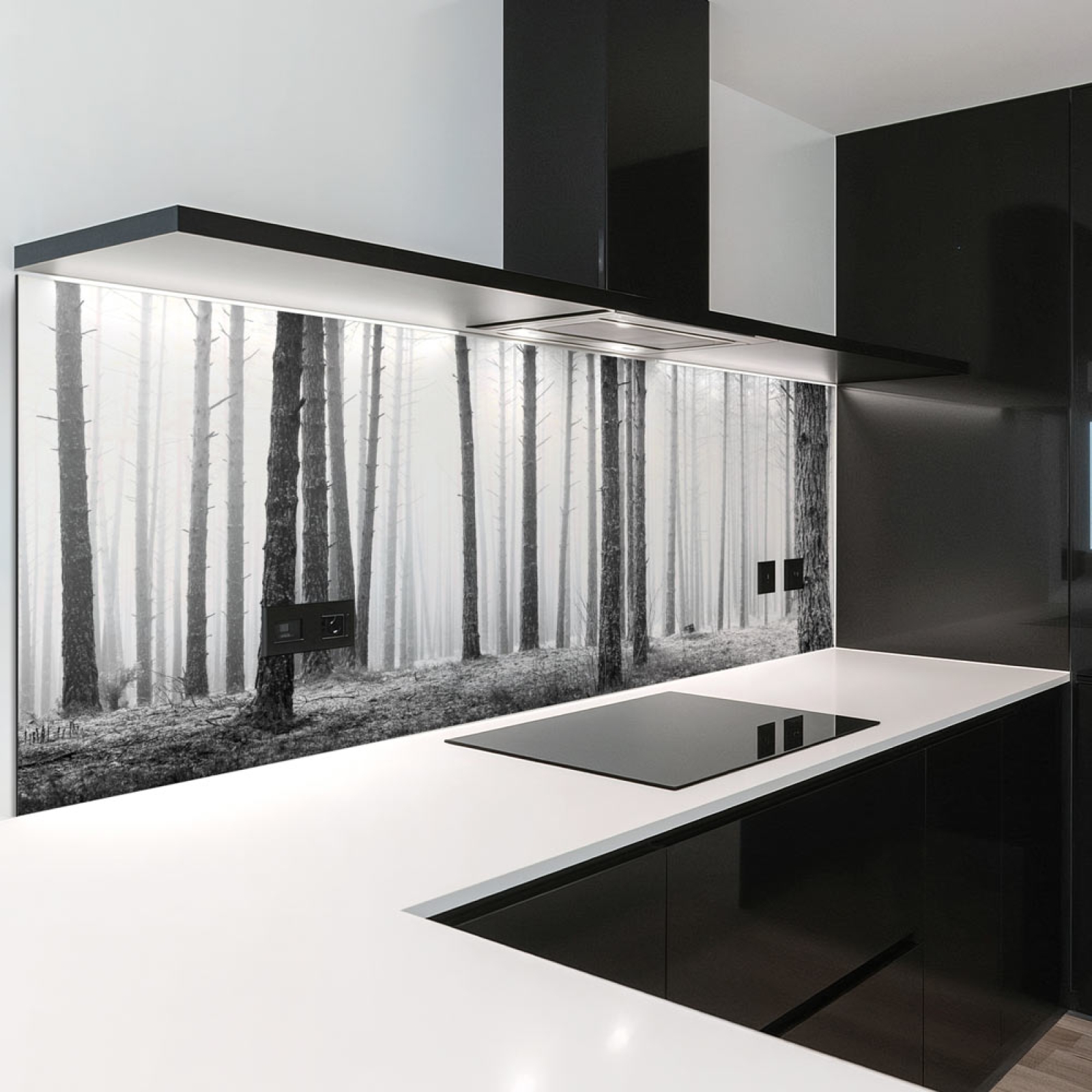 Küchenrückwand Platte Monochrome Baumstämme im Wald Hauptbild 1