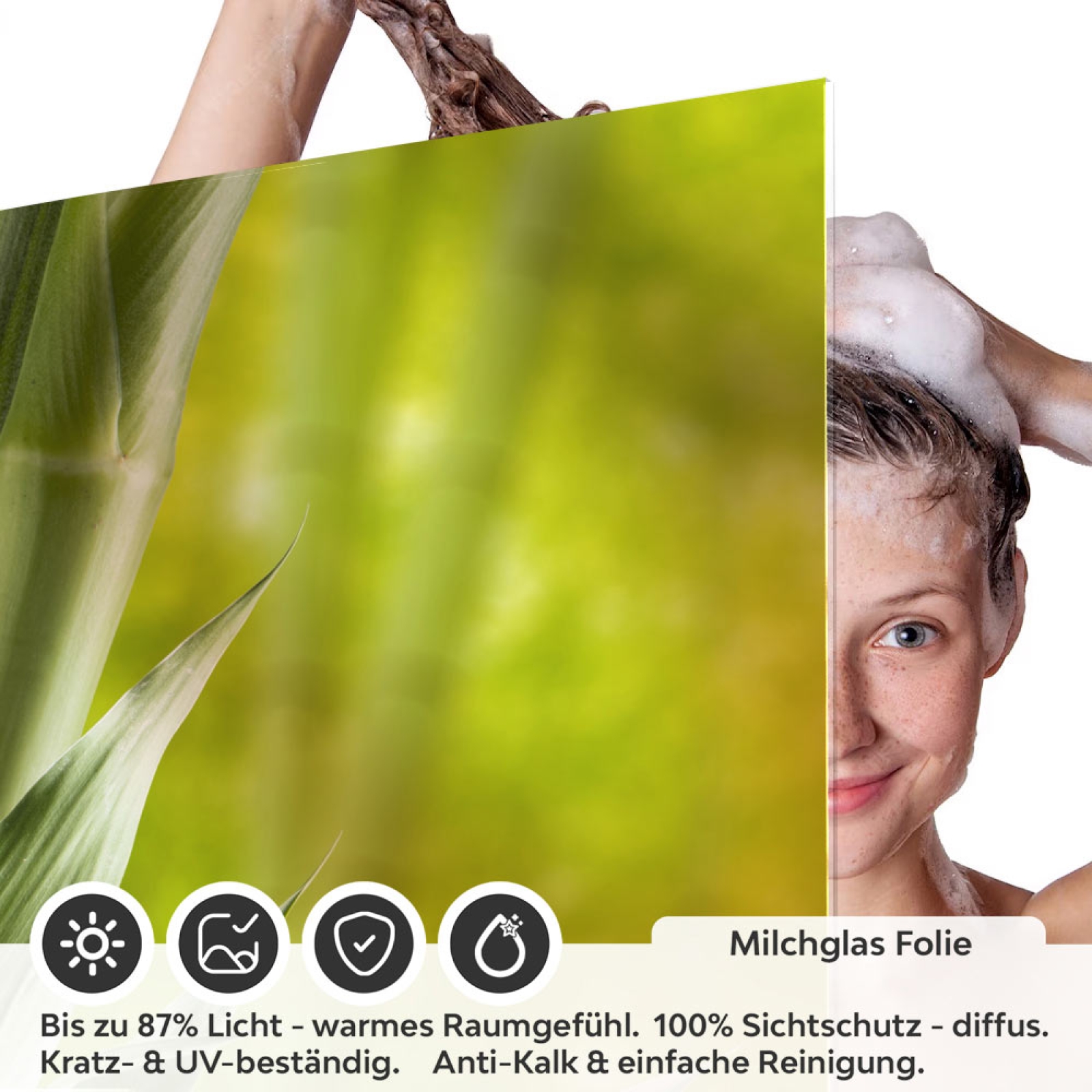 Sichtschutzfolie Dusche | Bambusstämme in Waldpanorama