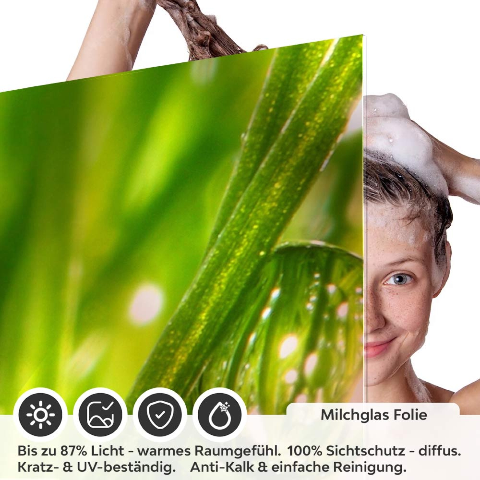 Sichtschutzfolie Dusche | Grashalme mit klaren Wasserperle